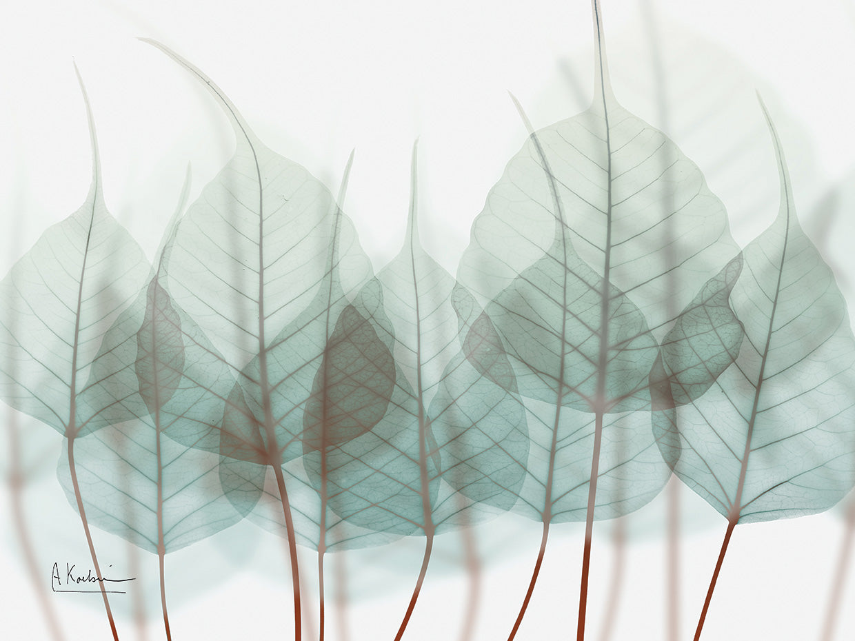 Unfocused Divergent 2