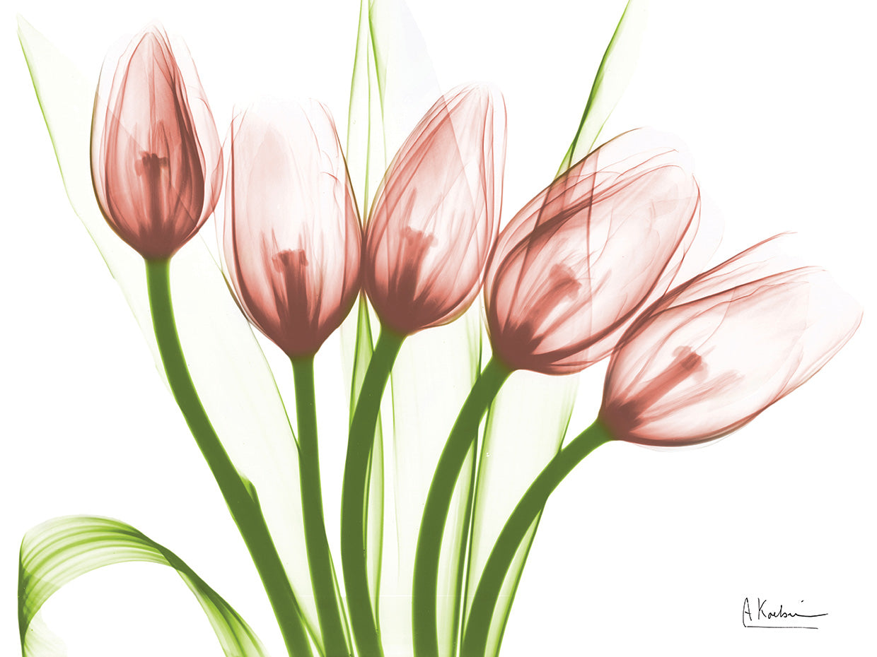 Coral Marching Tulips