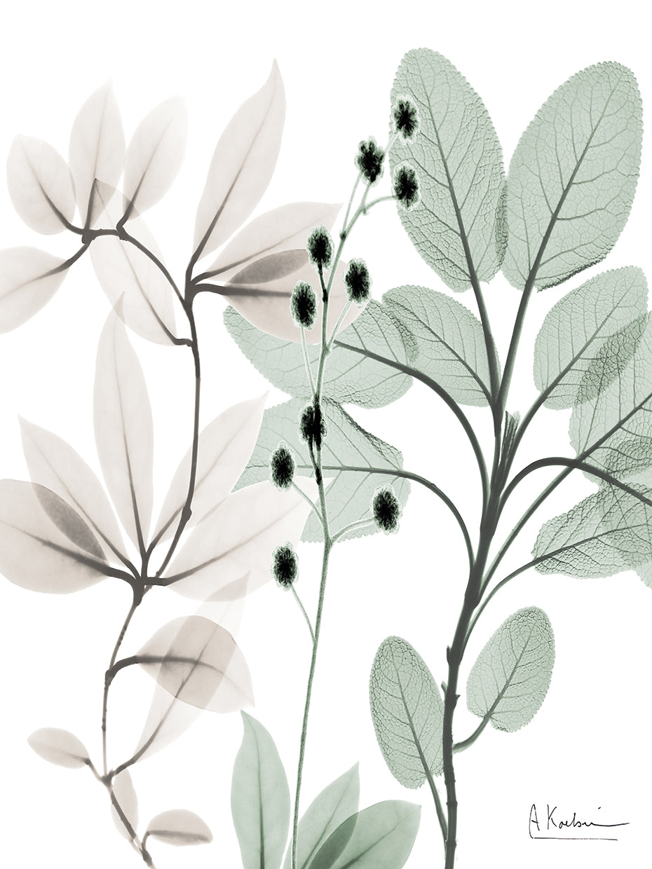 Northern Opposites 2