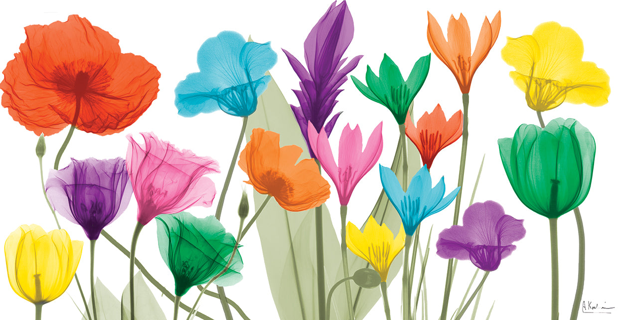 Pretty Floral Jewels 1