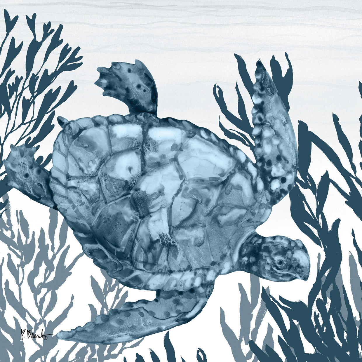 Tonga Sealife I – Indigo