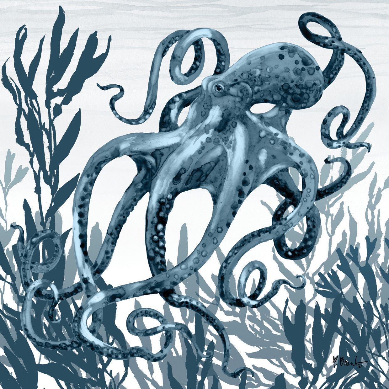 Tonga Sealife II – Indigo