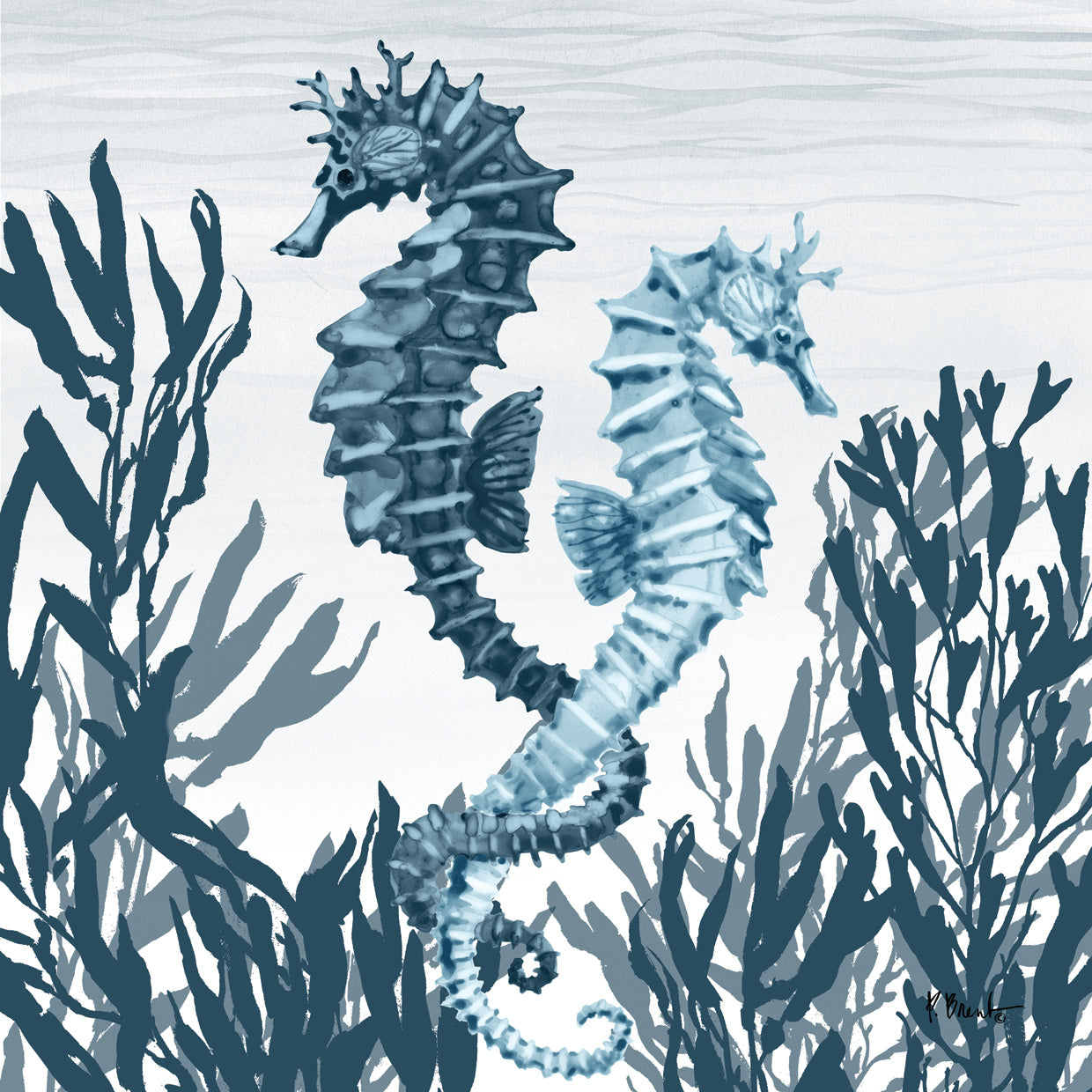 Tonga Sealife IV – Indigo