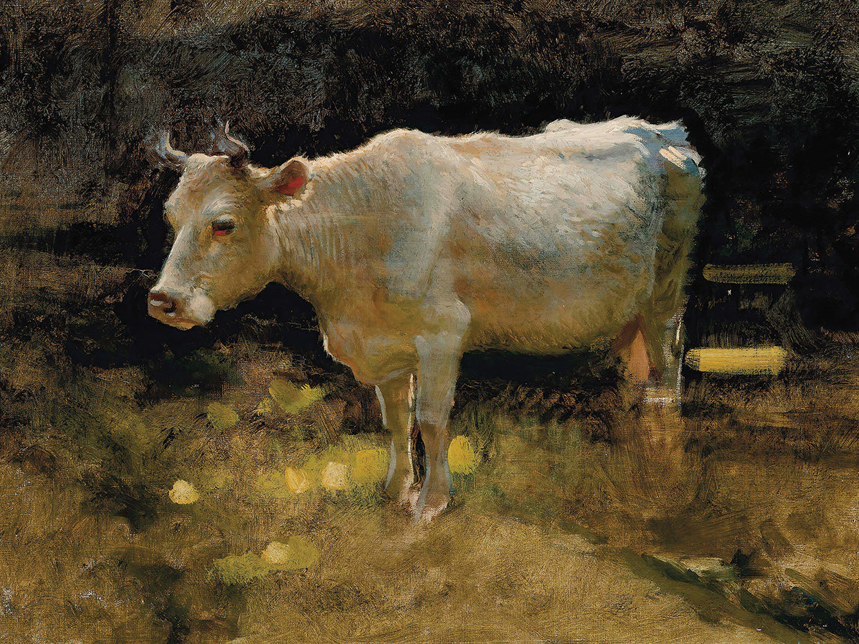 Study of a cow in a meadow