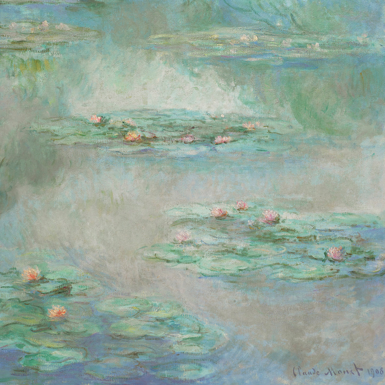 Water Lilies