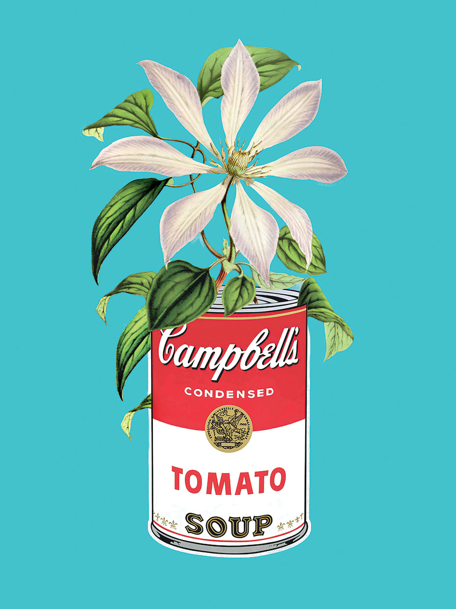 Floral Campbells