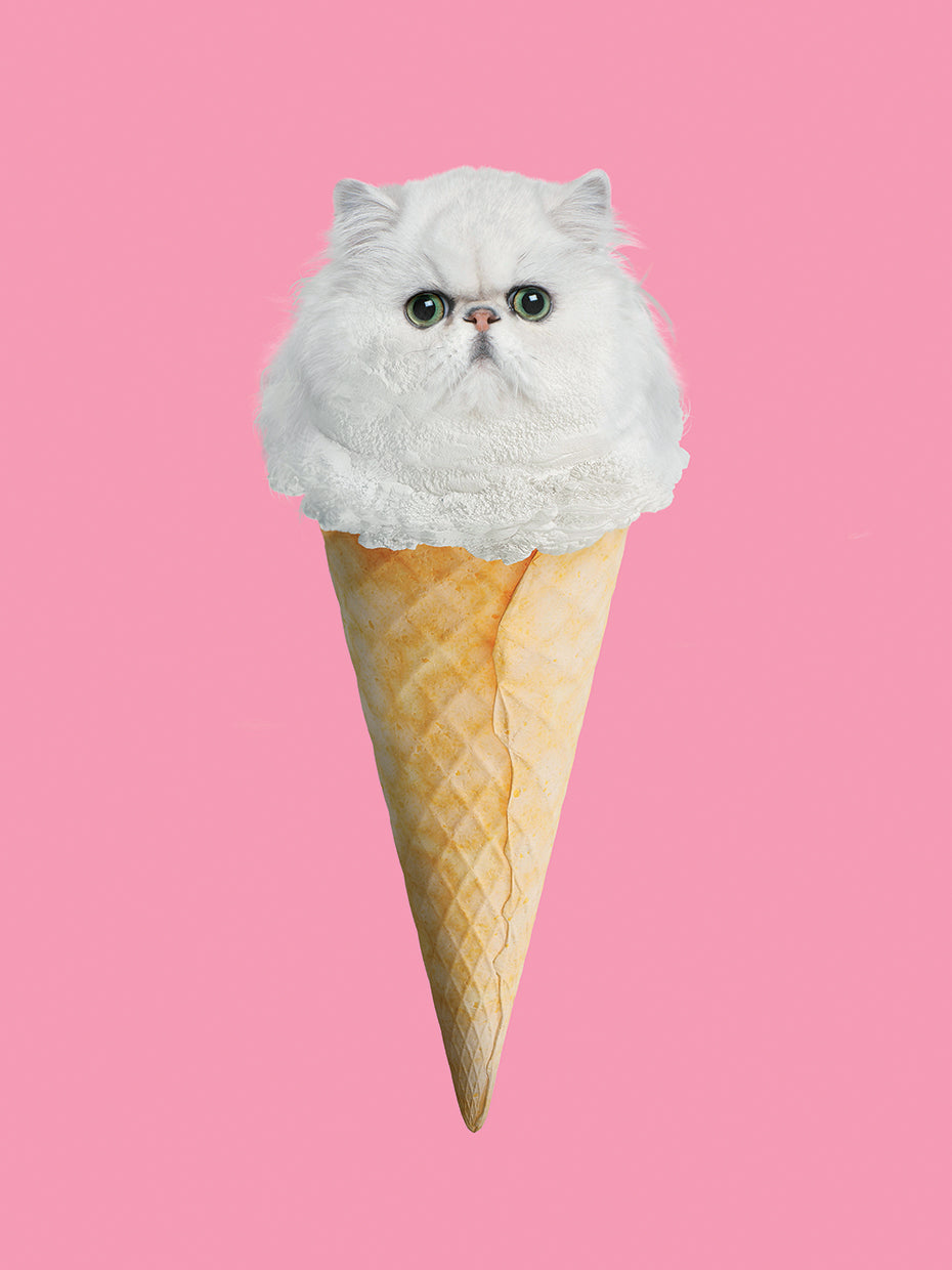 Kitty Ice