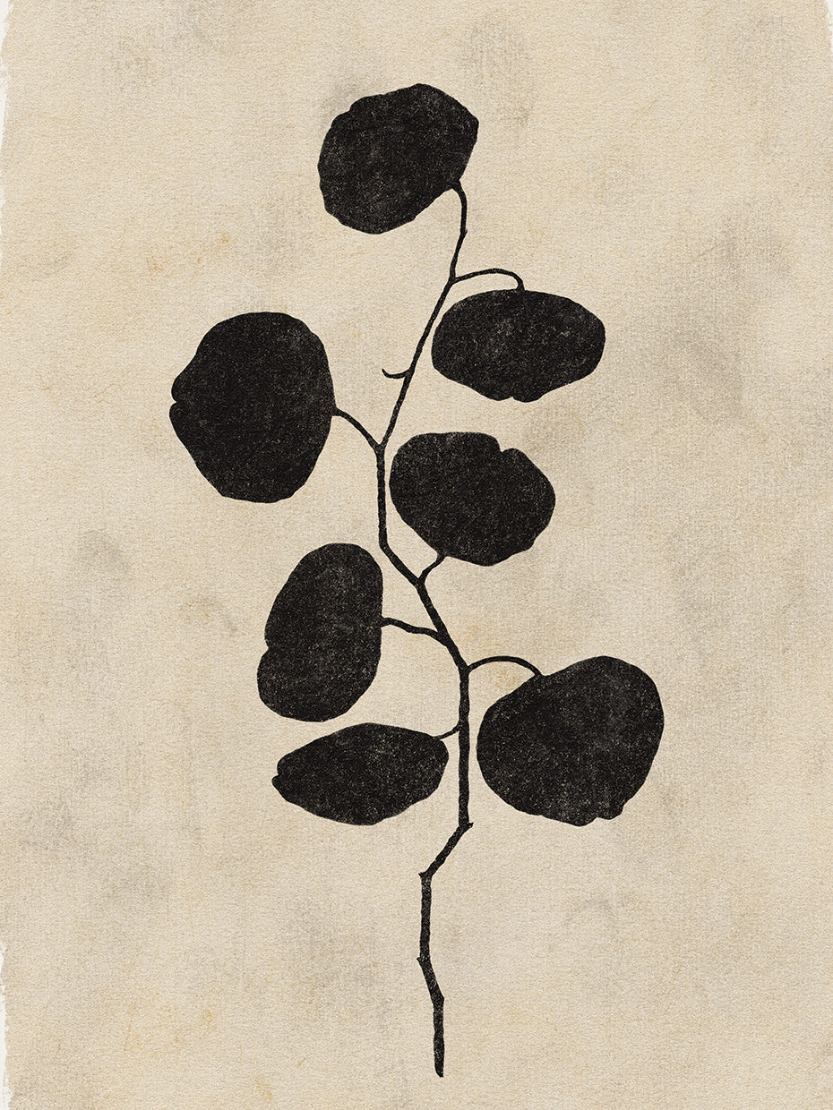 Botanical Silhouette