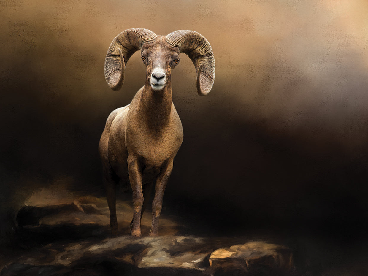 High Mountain Patriarch