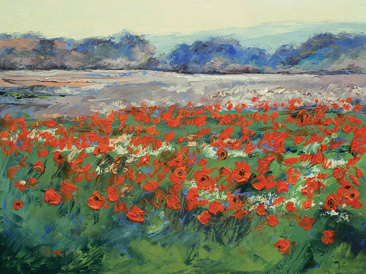 Poppies In Flanders Fields
