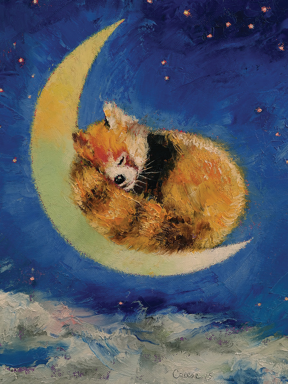Red Panda Dreams