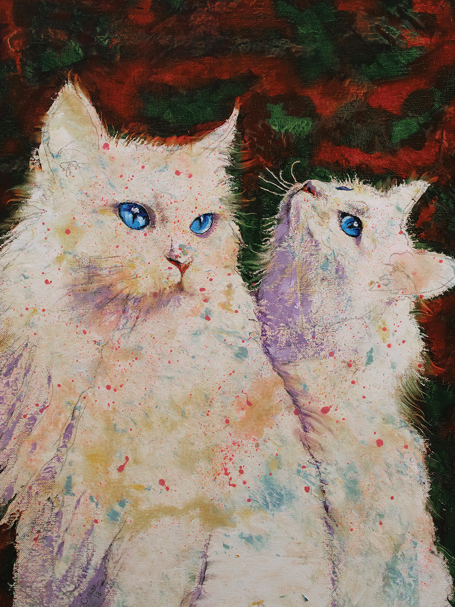 White Cats