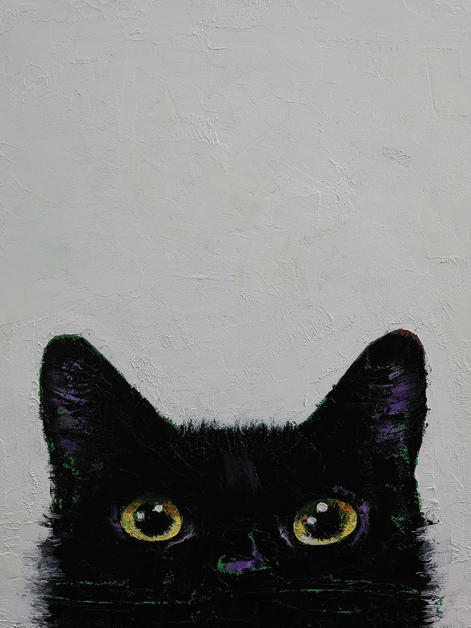 Black Cat