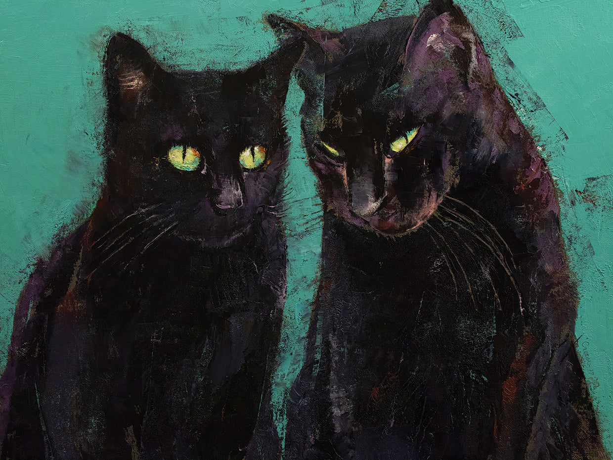 Two Black Cats
