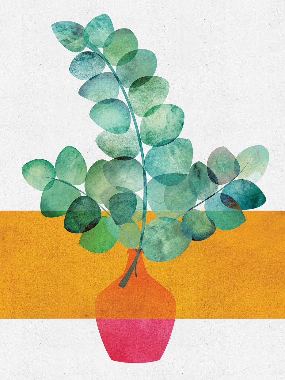 Eucalyptus and sunshine