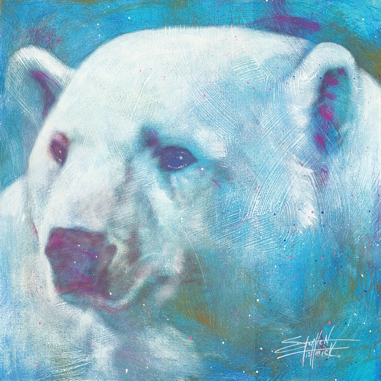 Polar Bear - Cool Intentions