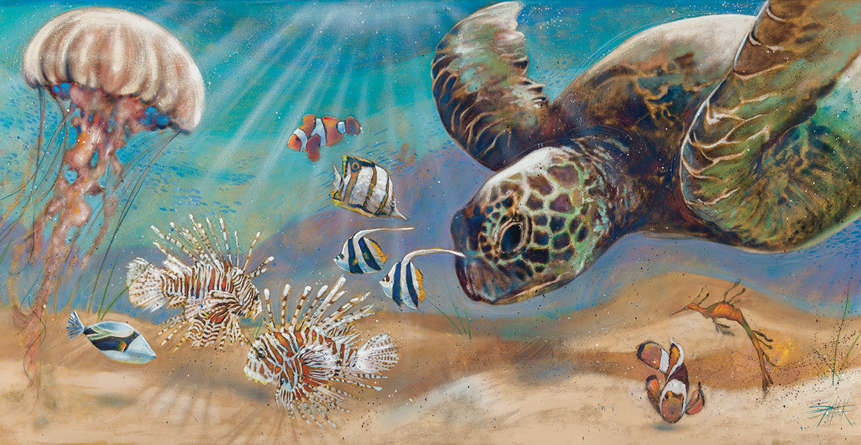 Sea Animals - Under The Sea