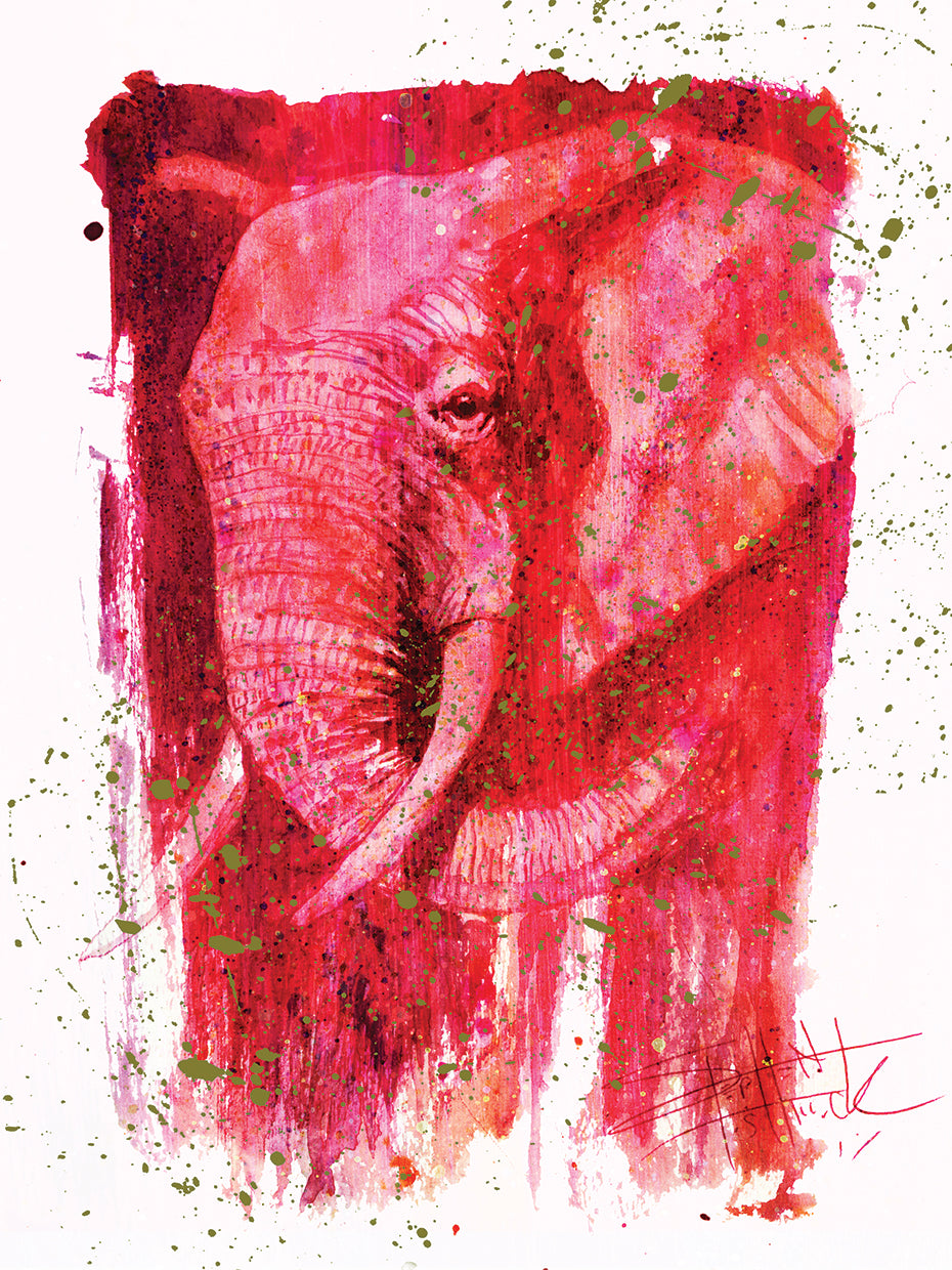 Wild Colors - Elephant