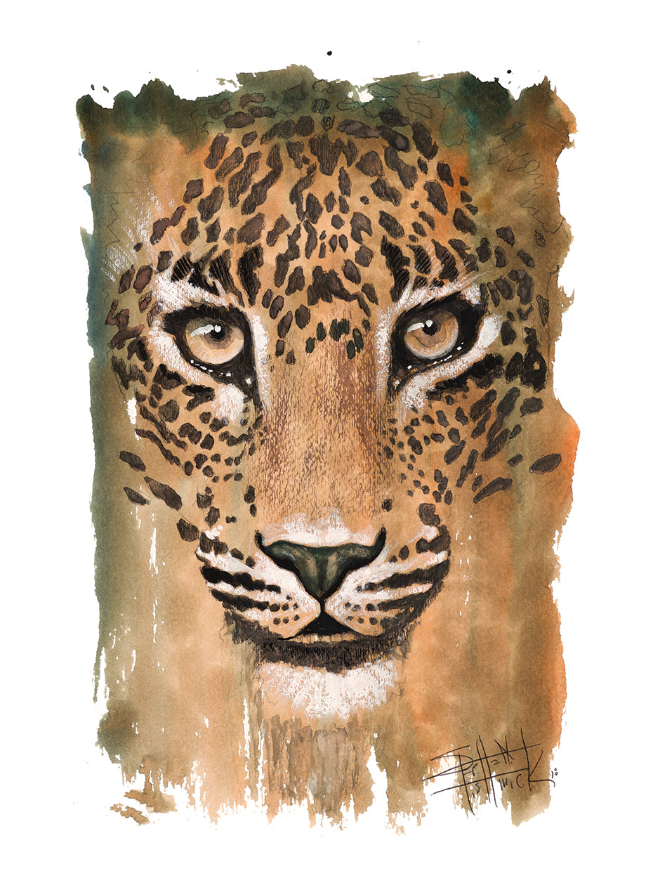 Wild Colors - Leopard 1