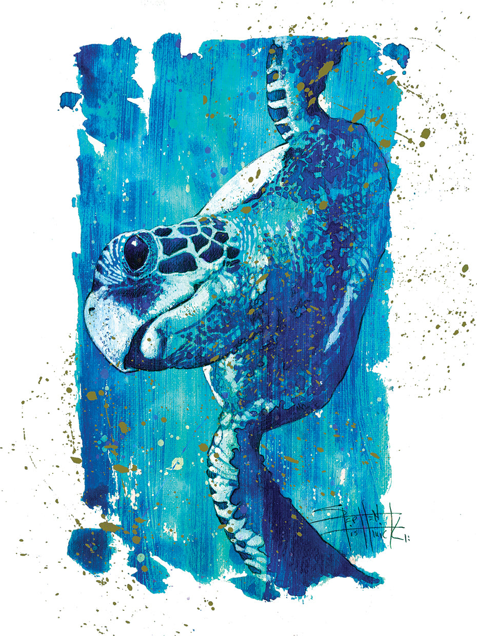 Wild Colors - Turtle