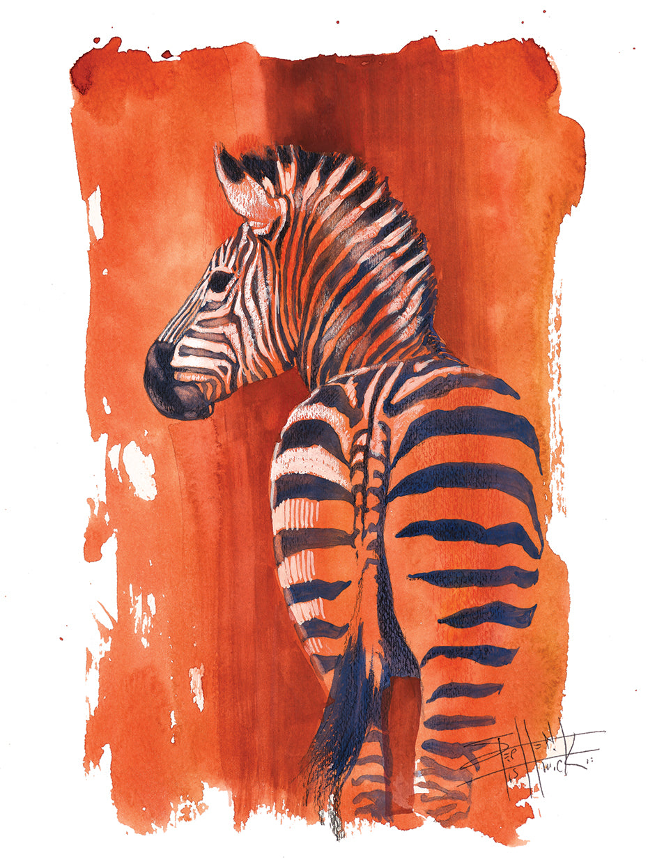 Wild Colors - Zebra