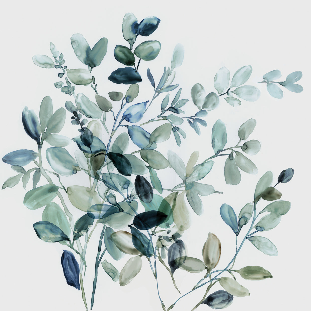 Green Canopy Serenade