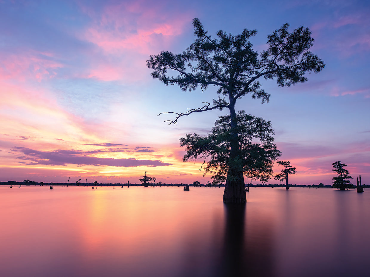 Summer Solstice Sunset