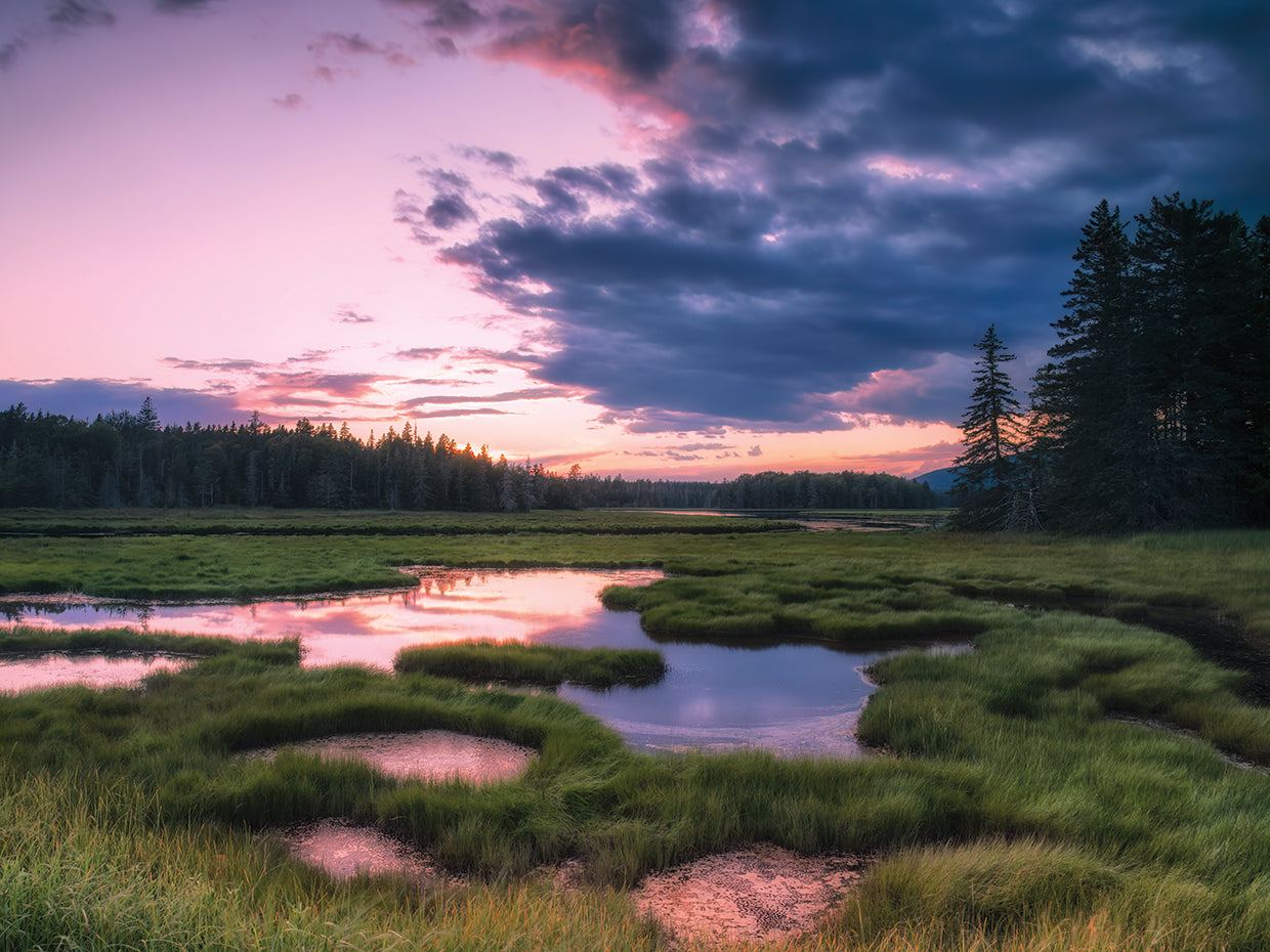 Sunset at Bass Harbor Marsh