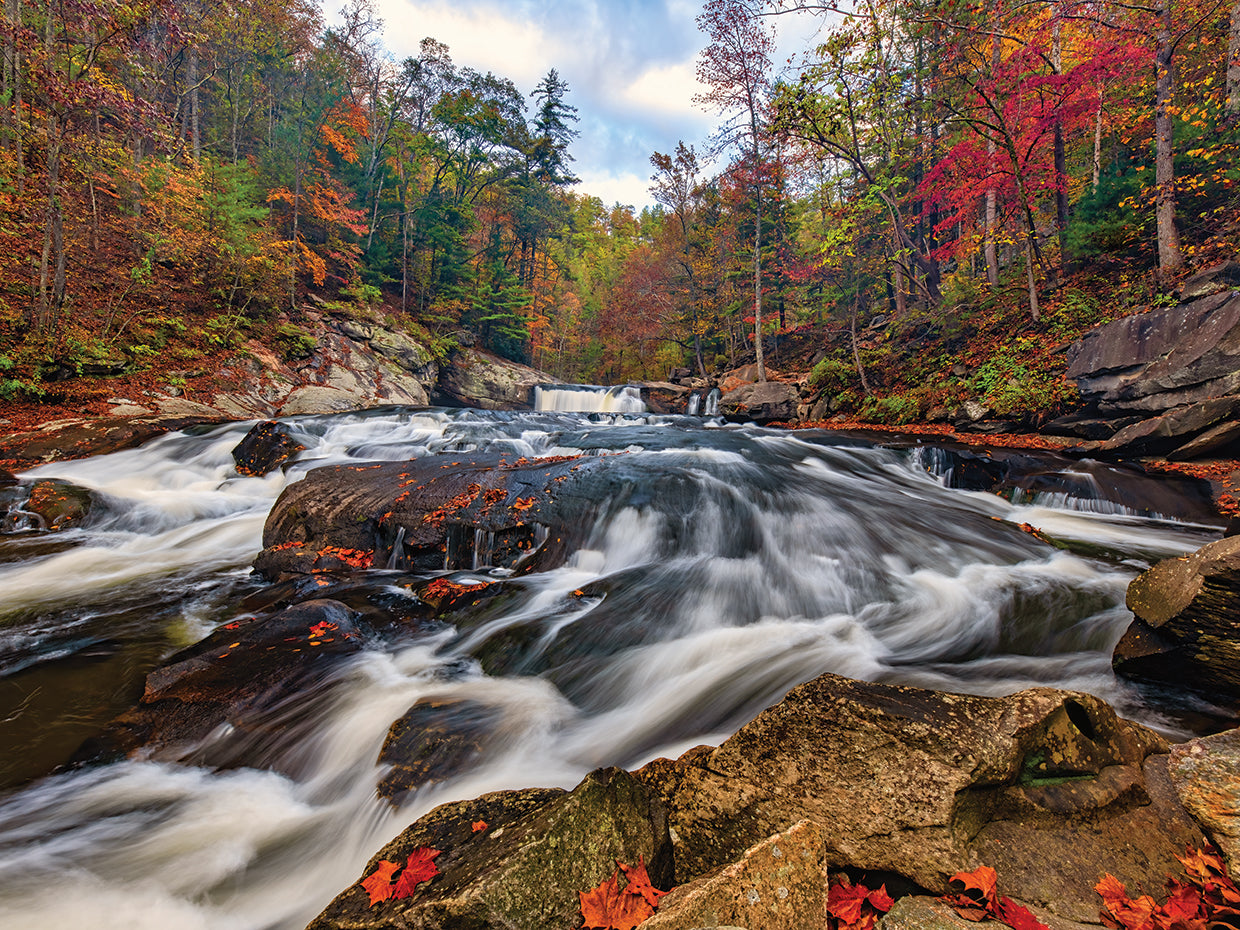 Autumn Below Baby Falls.tif