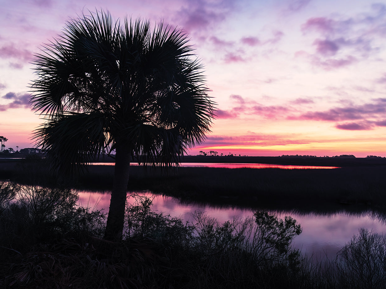 Sunrise at St. Marks National Wildlife Refuge