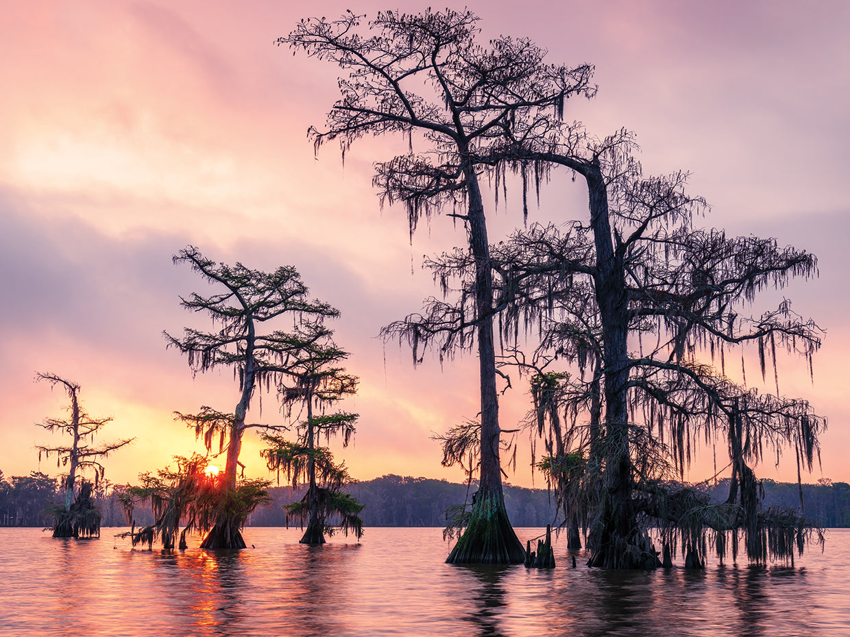 Sunrise Over Lake Palourde