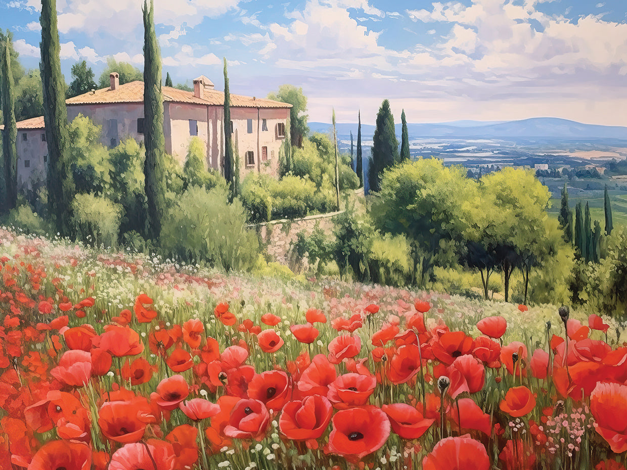 Poppy Field in Full Sun
