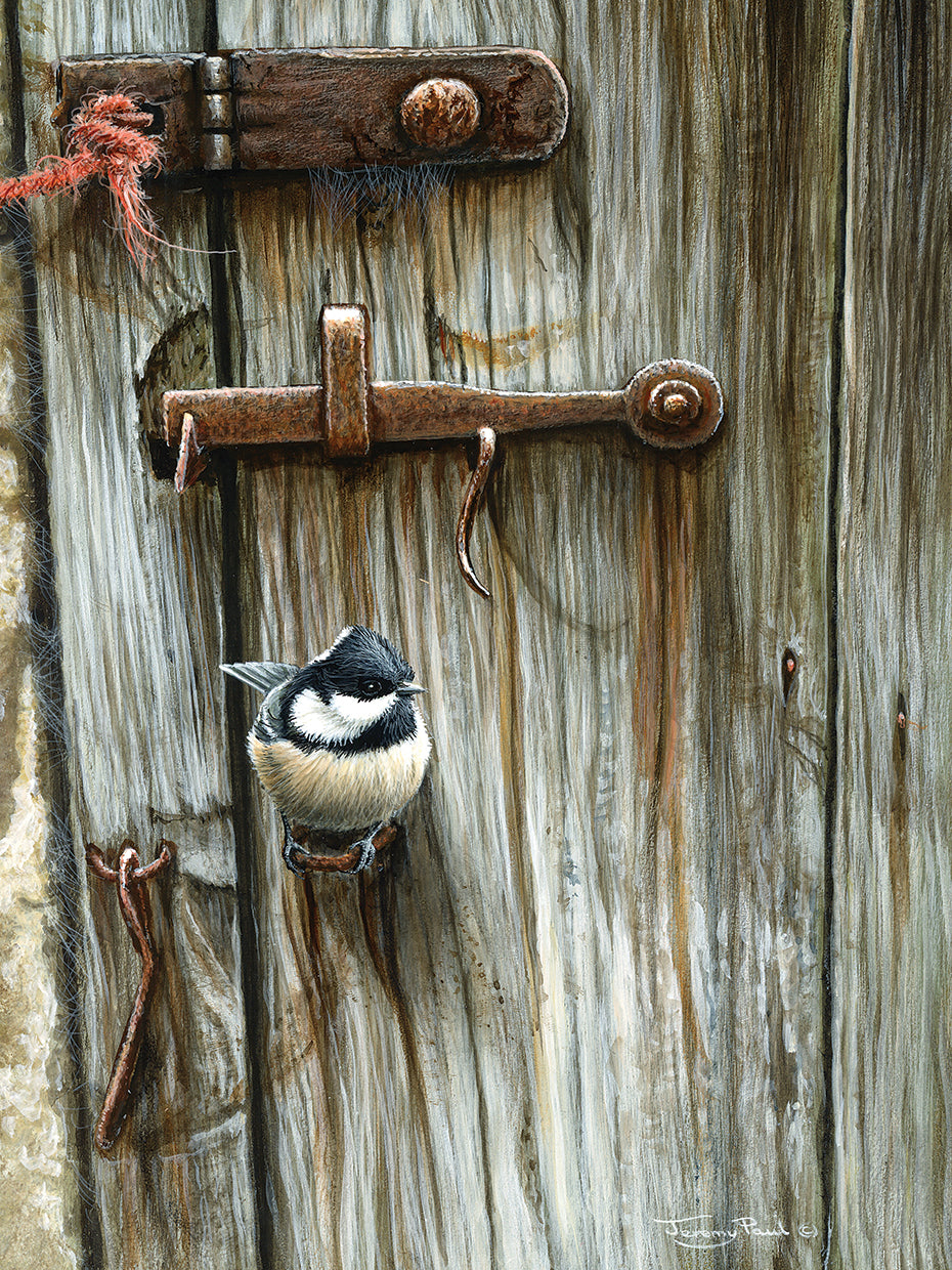 At the door - coal tit
