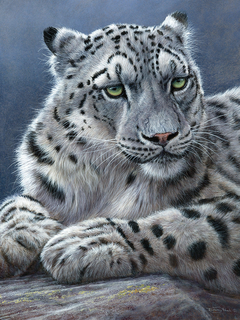 Snow Leopard