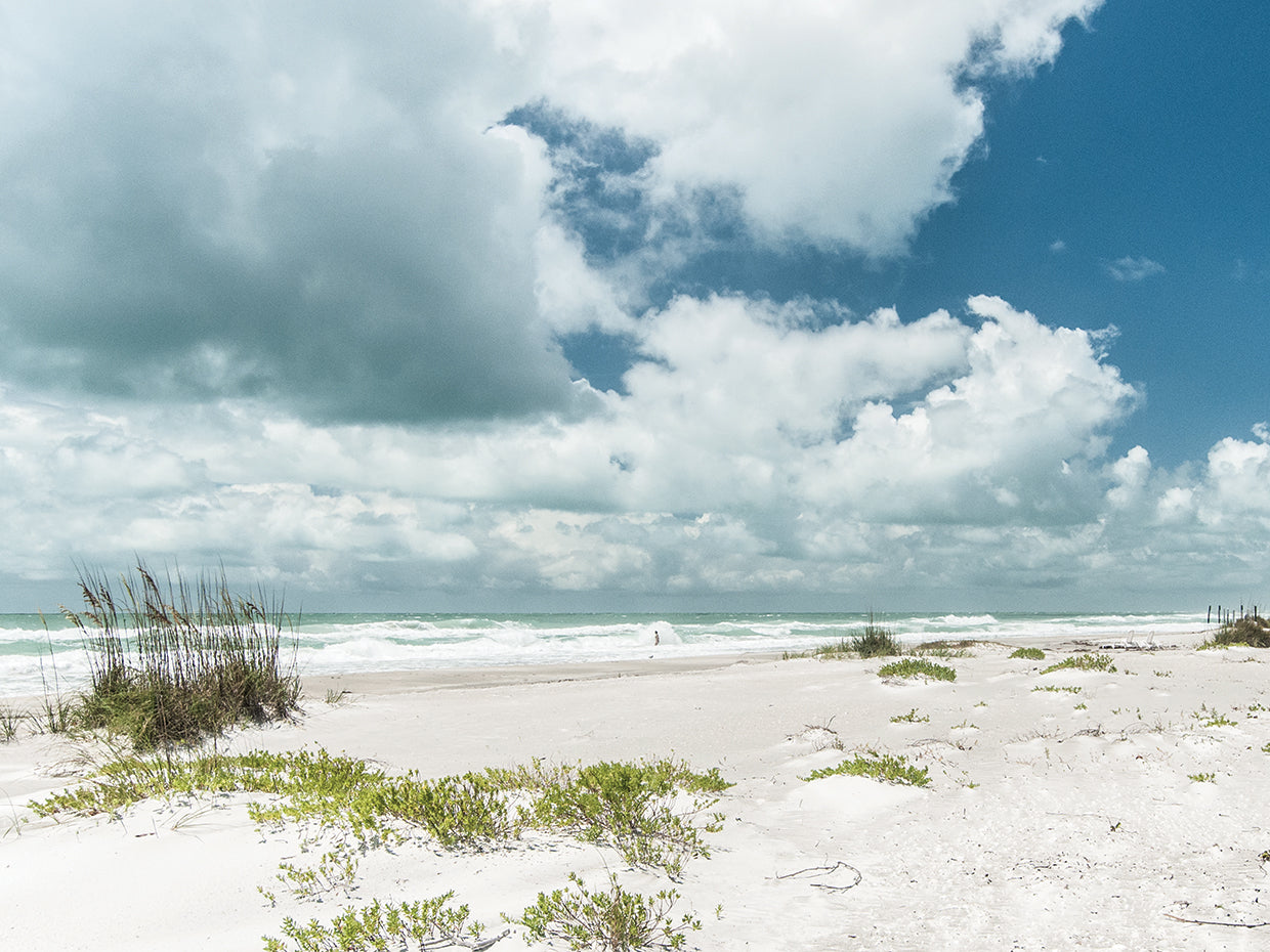 Beach Dunes, White Waves