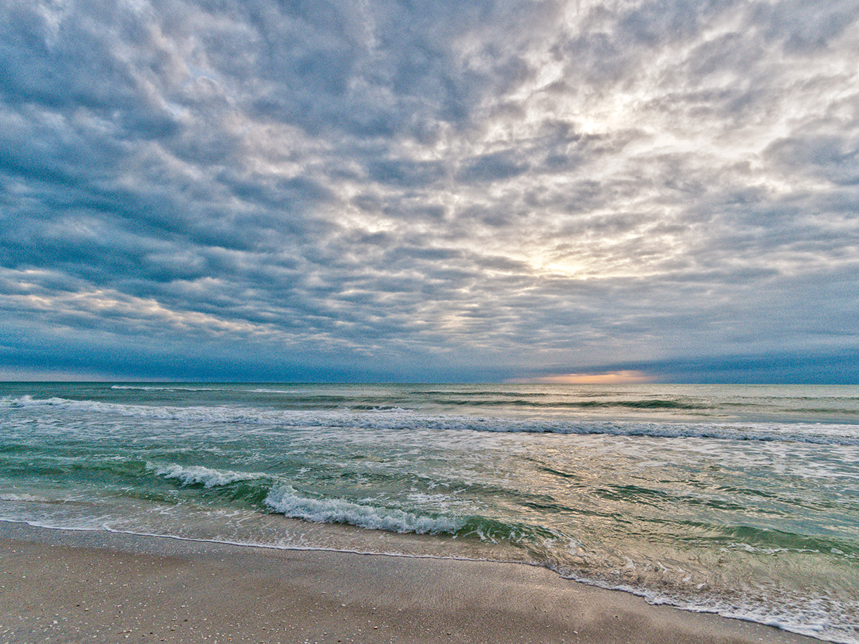 Tropical Inspiration