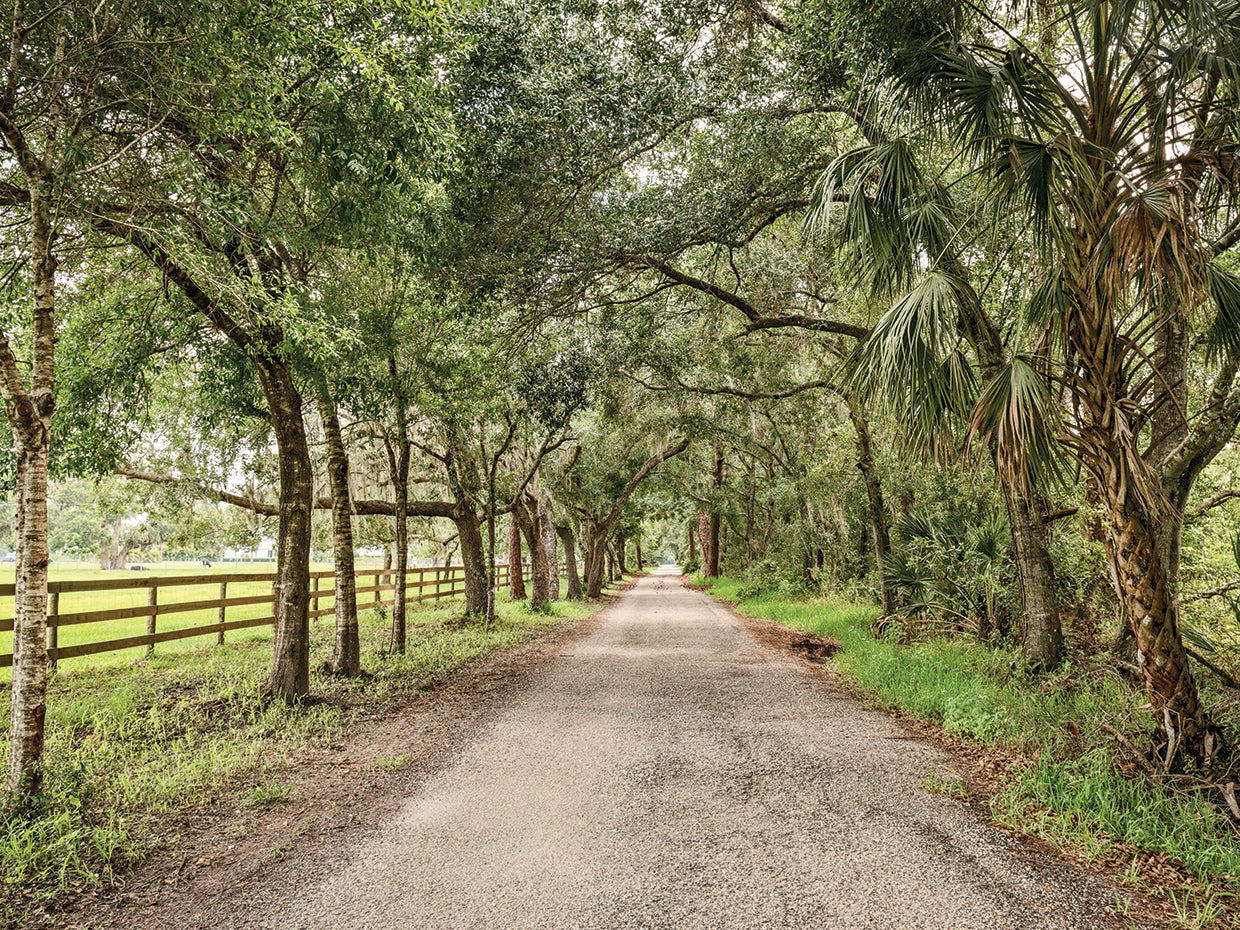 Country Roads, Take Me Home