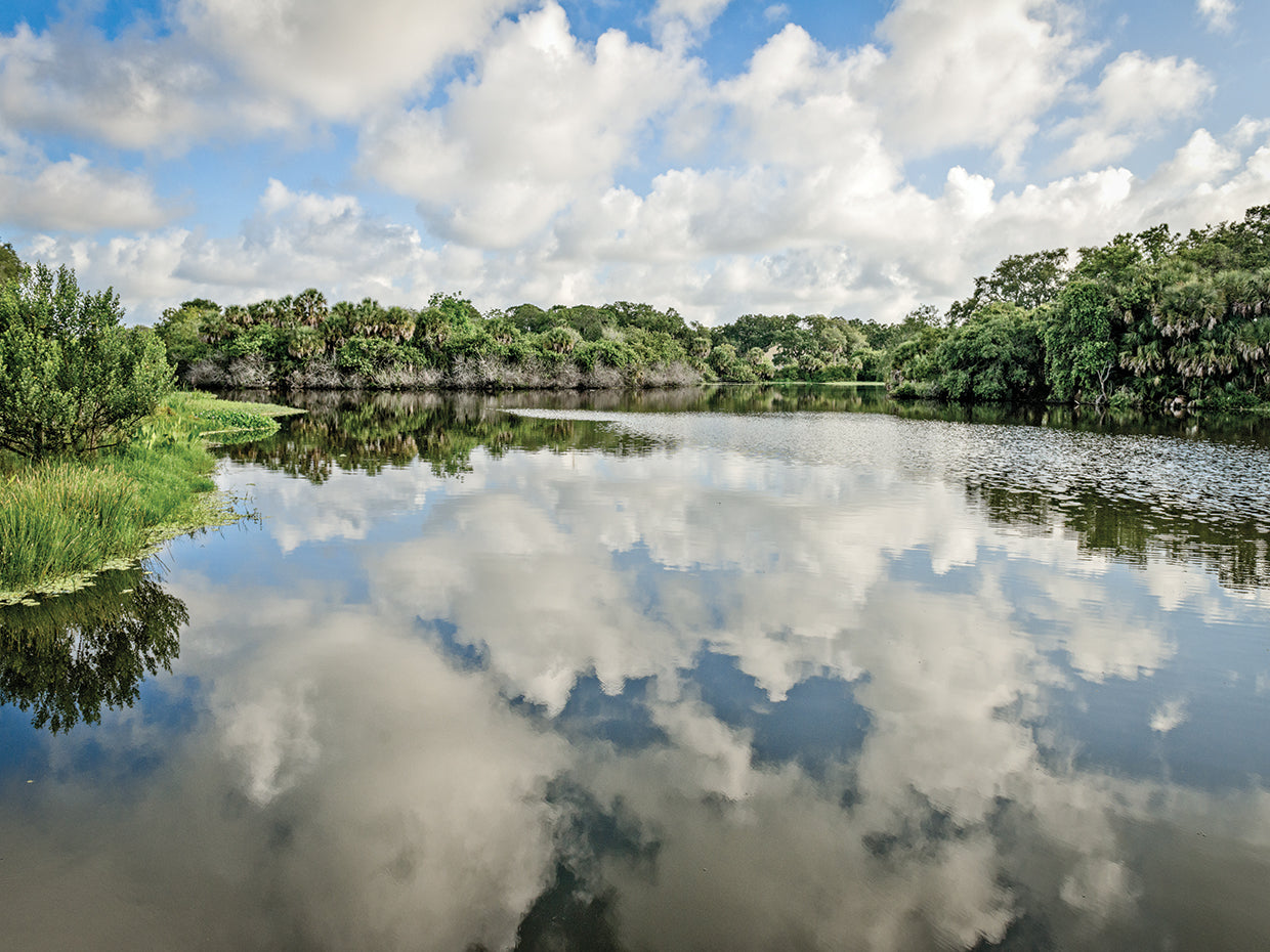 Pristine at Red Bug Slough