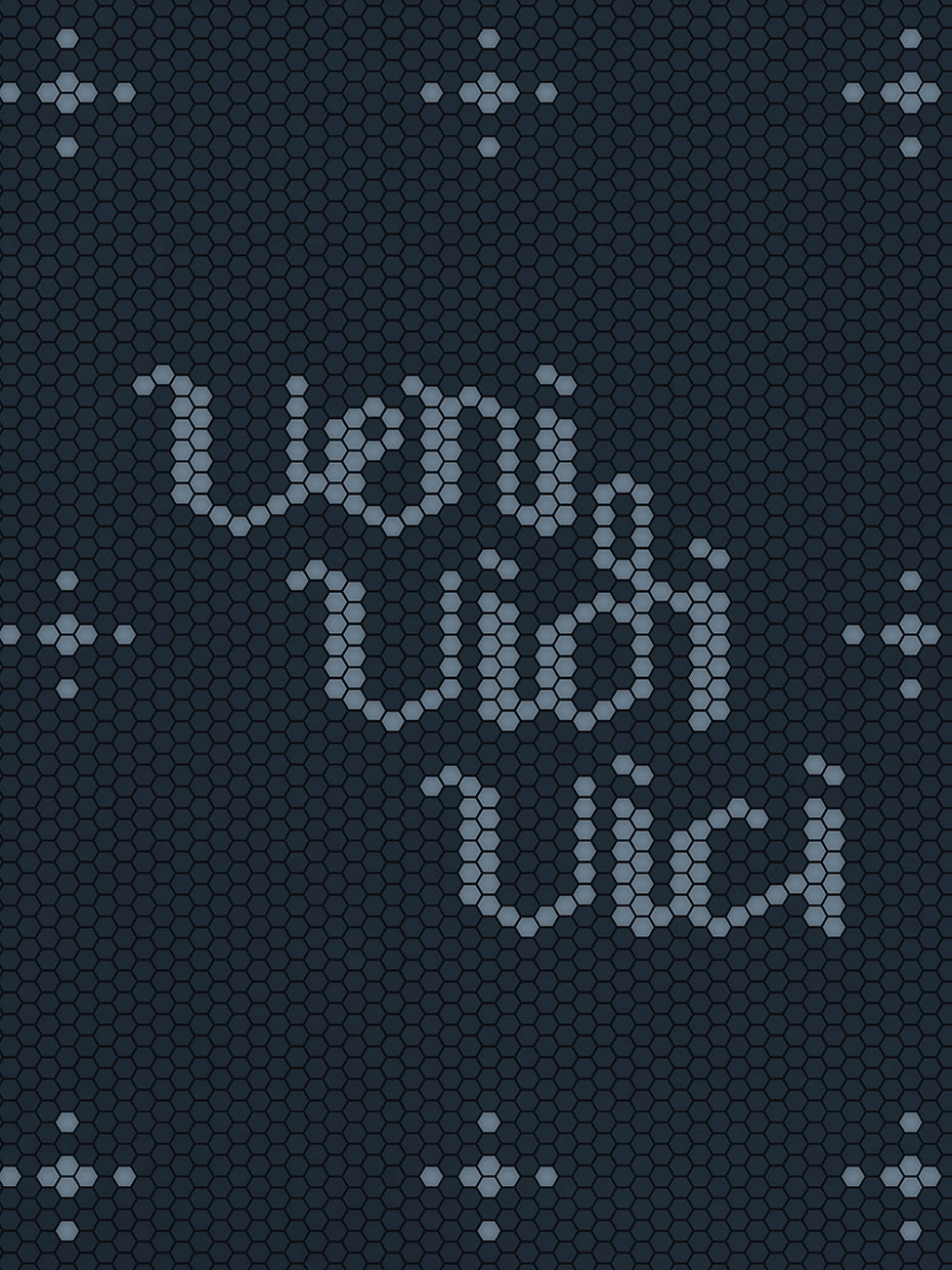 Veni Vidi Vici I Came, I Saw, I Concured in Blue