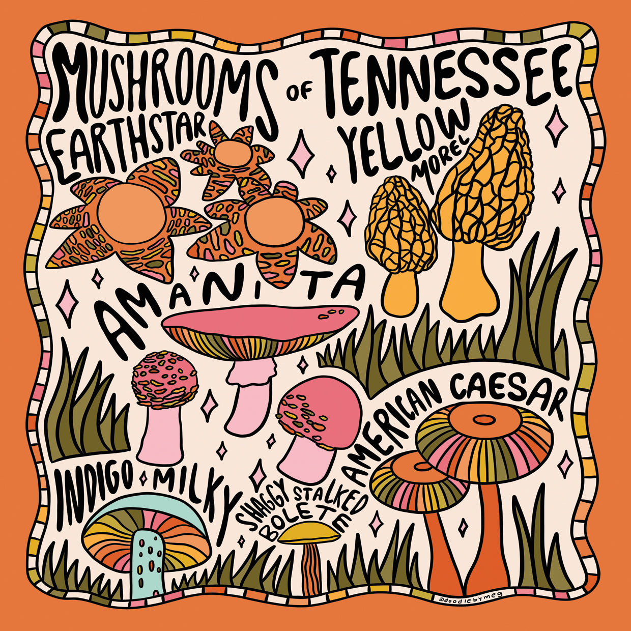 Mushrooms Of Tennessee