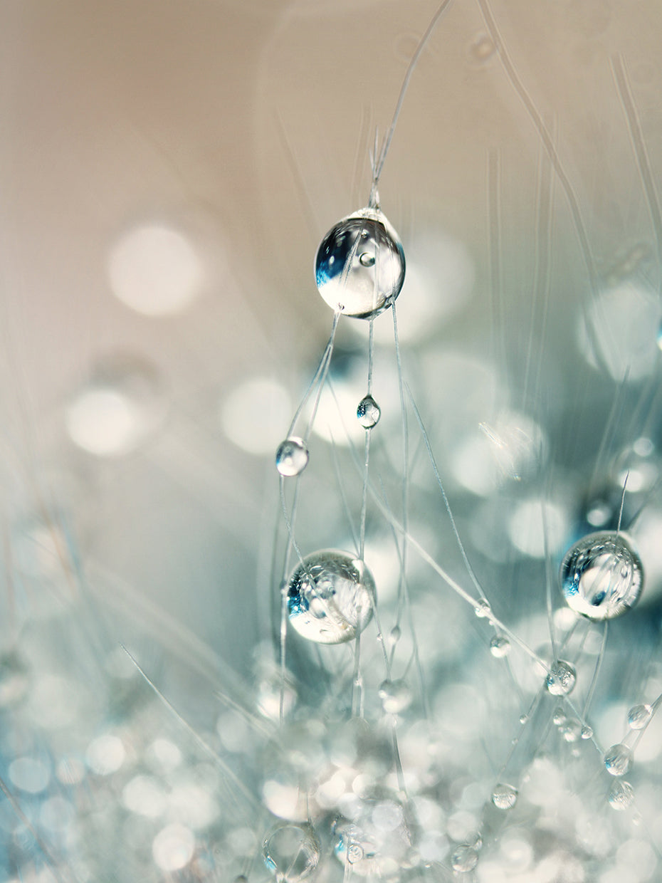 Soft Cactus Sparkles