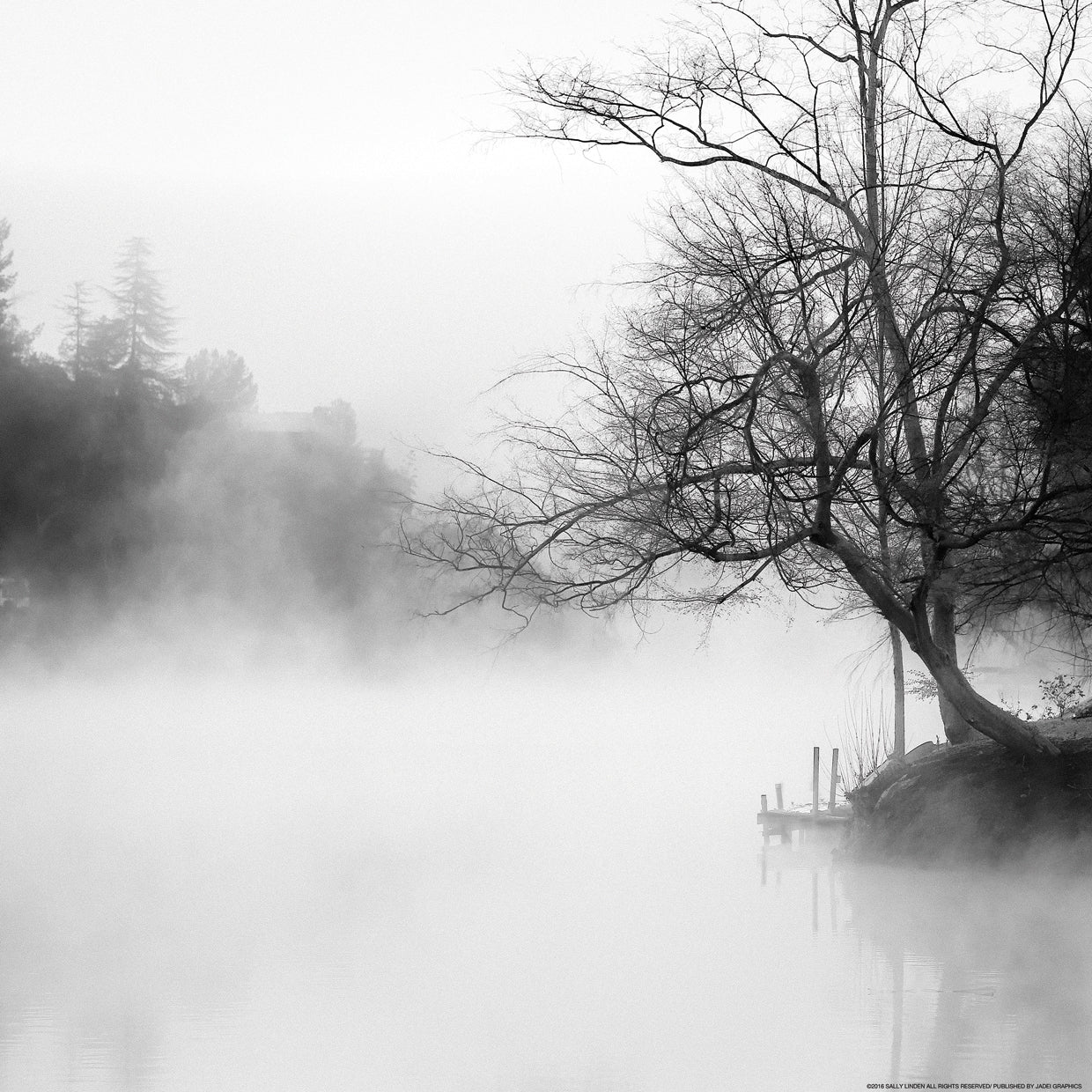 FOG ON THE LAKE