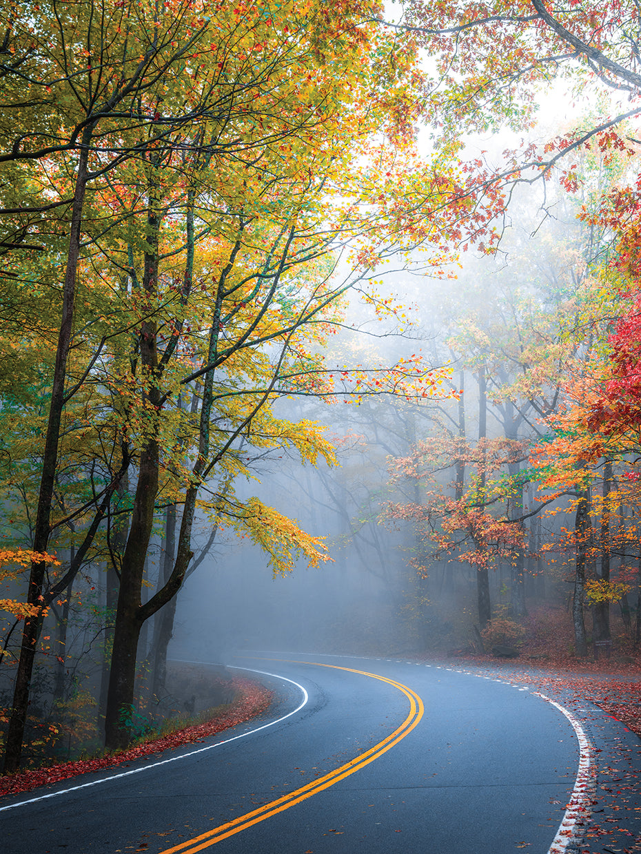 Scenic Fall Drive