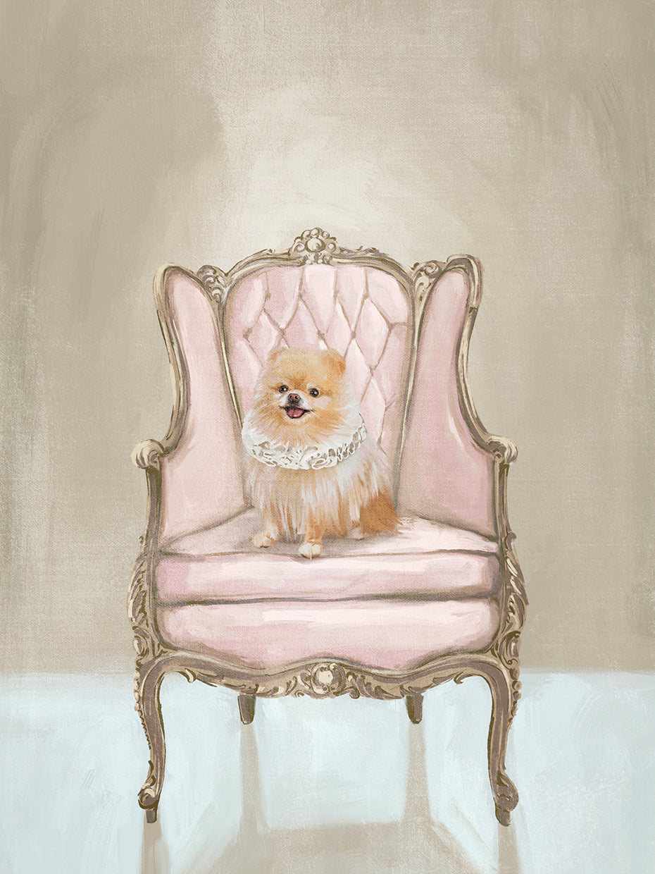 Renaissance Pom Dog on a Chair