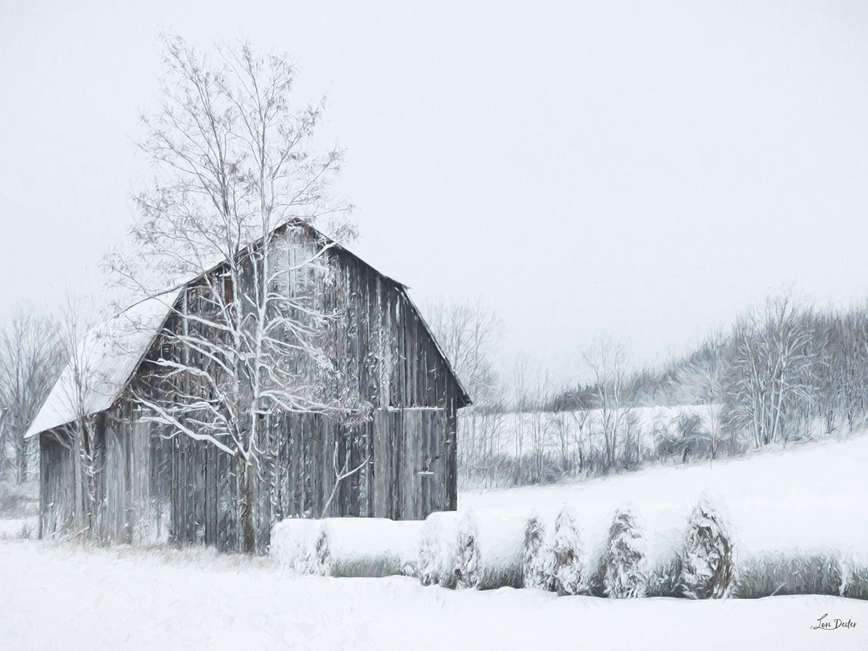 Snow Day in the Country