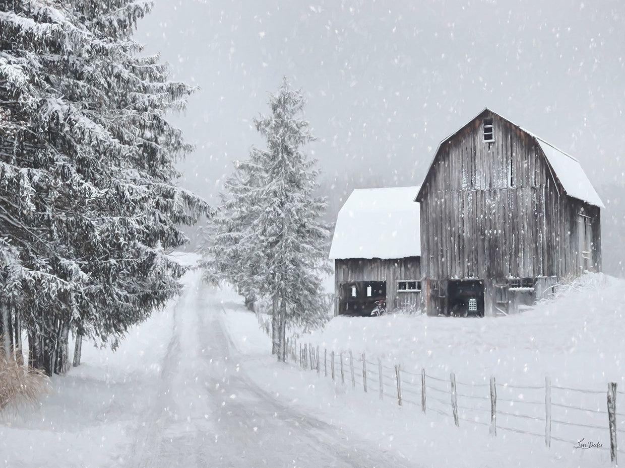 Winter Peace in the Country