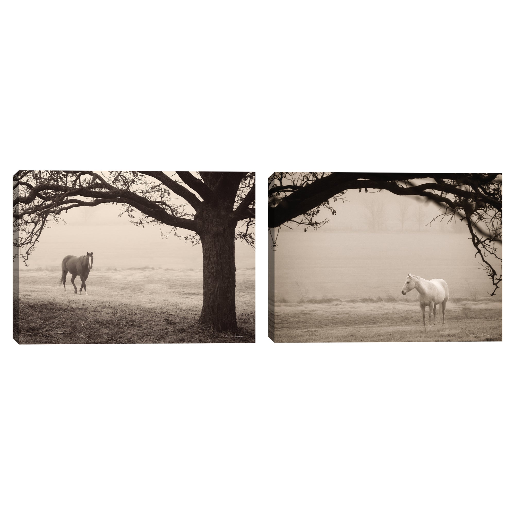Hazy Horse I & II