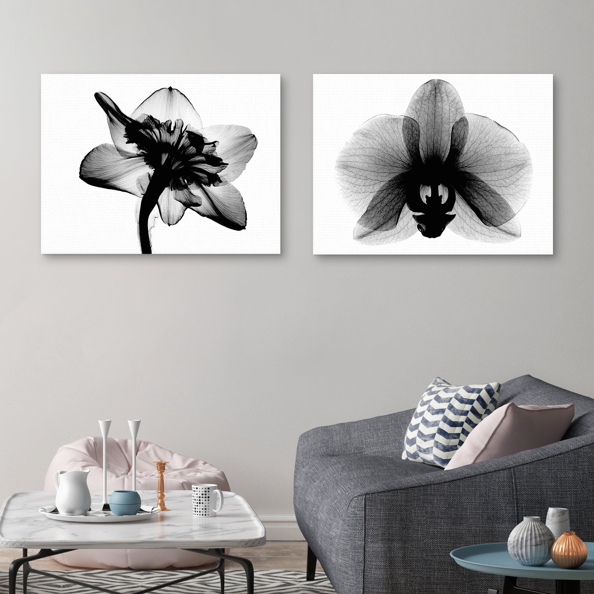 Daffodil #1 and Orchid Small X-Ray