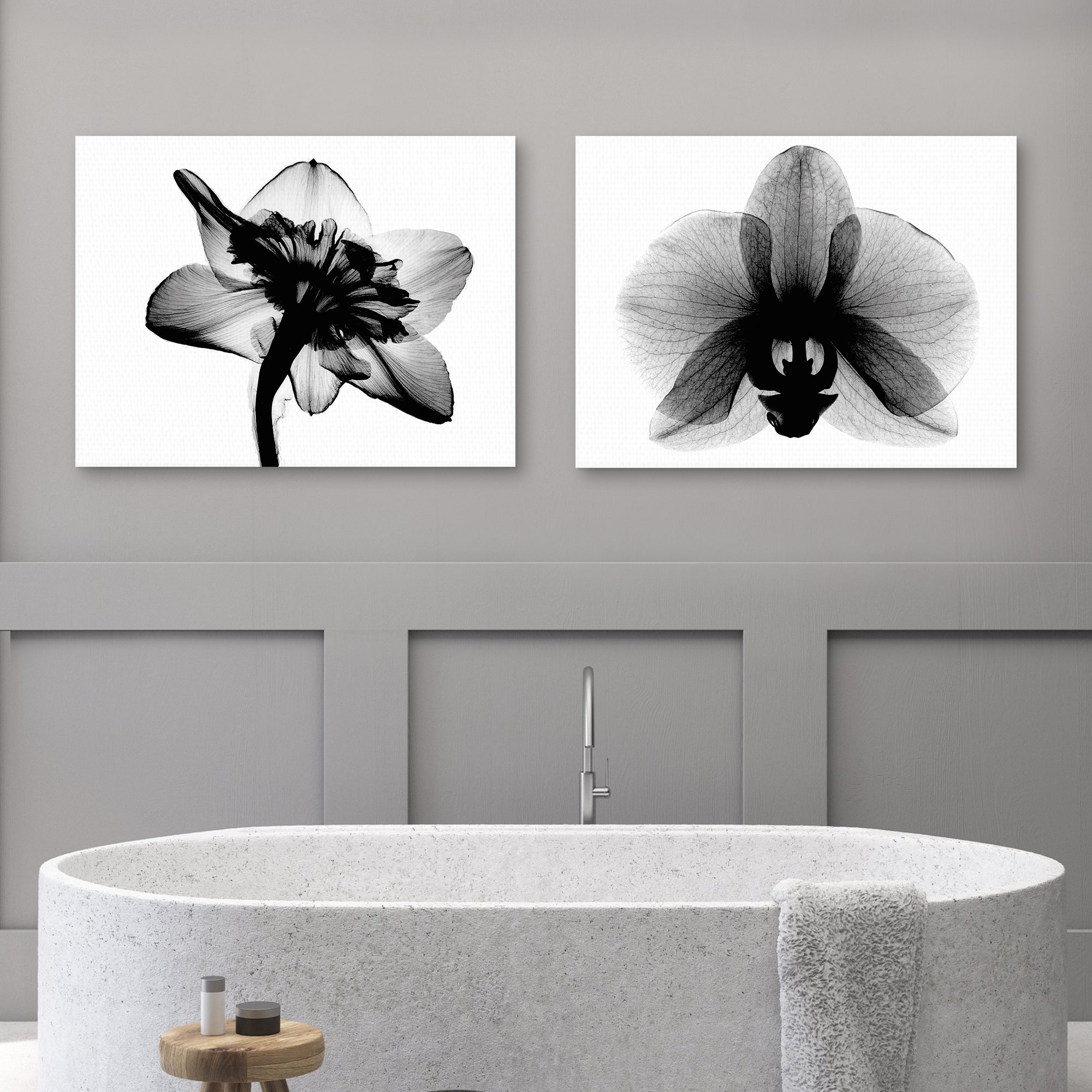 Daffodil #1 and Orchid Small X-Ray