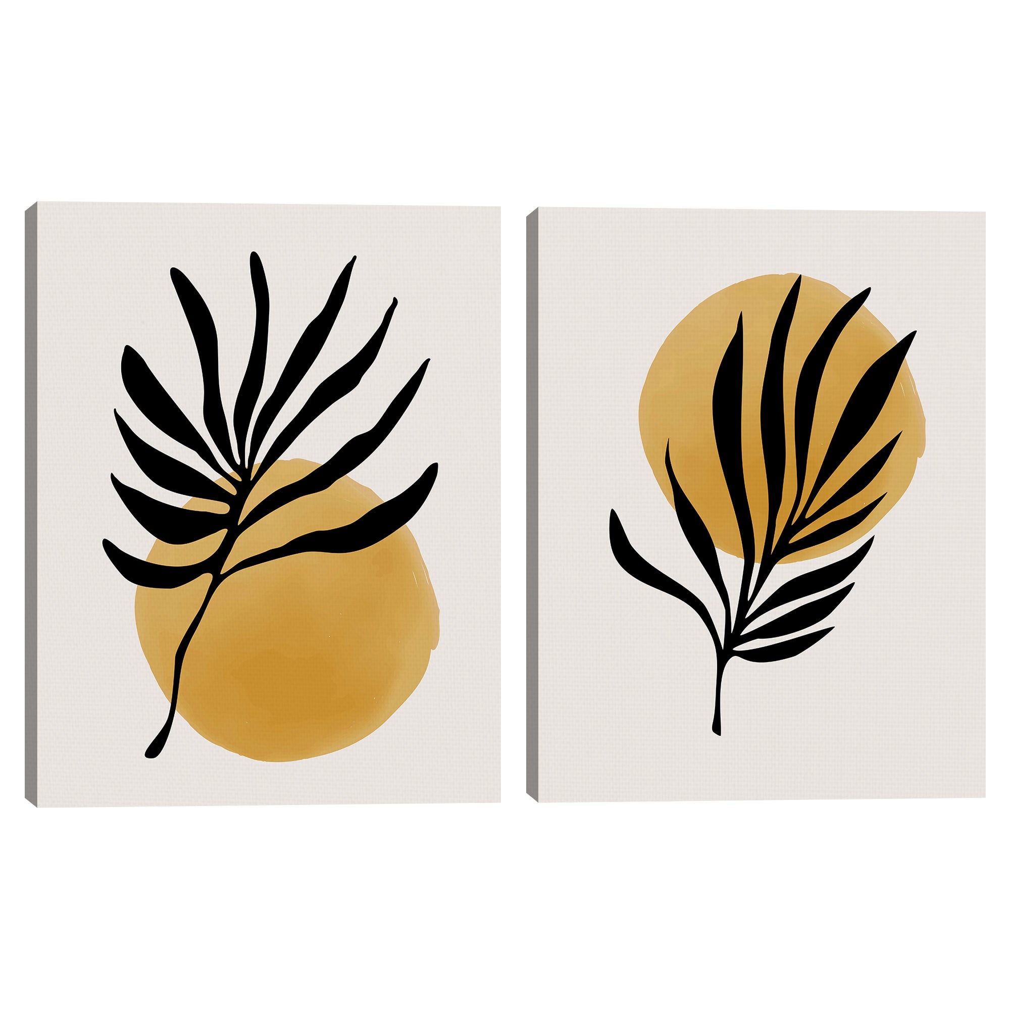 Jazzy Jungle Sun Plant & Luxurious Leaves Sun